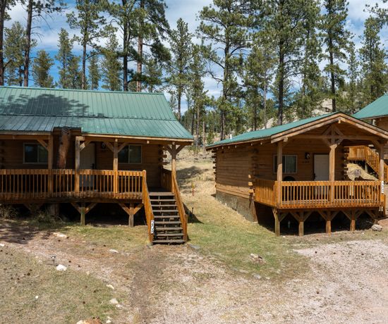 Exterior of two cabins right next to each other. One is wider than the other. Each has a front deck, with the wider cabin's deck built around the base of an old tree.