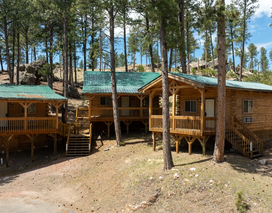 Exterior shot of the cabins. There are 4 next to each other, each with a green roof and front porch/deck. There are tall pine trees in front and behind the cabins, and gravel paths leading up to each cabin's stairs.