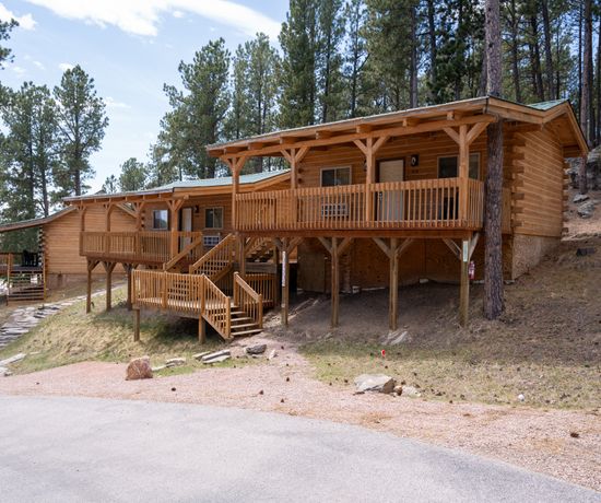 A wooden cabin with a covered porch stands on a small hill among tall pine trees. A paved driveway and a stone path lead up to the entrance. The cabin is surrounded by a forested area.
