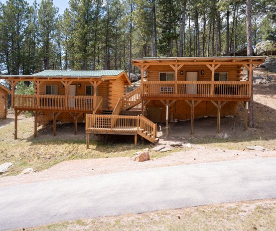 Two wooden cabins with covered porches and railings stand elevated on a small hillside among tall pine trees, connected by a staircase. A paved road passes in front of the cabins.