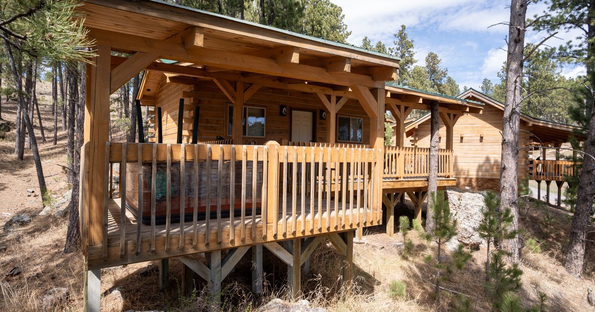 A wooden cabin with a covered porch is elevated on stilts among tall pine trees in a forested area on a sunny day.
