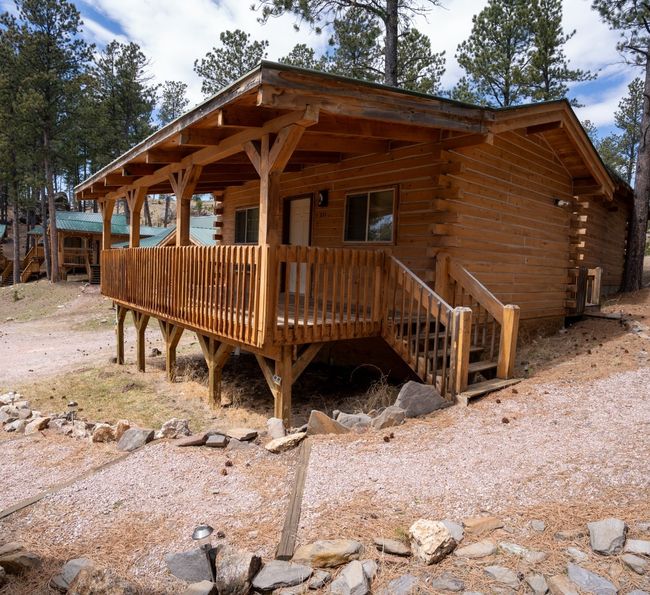 A wooden cabin with a covered porch sits among pine trees on a dirt and gravel path in a forested area, with additional cabins visible in the background.